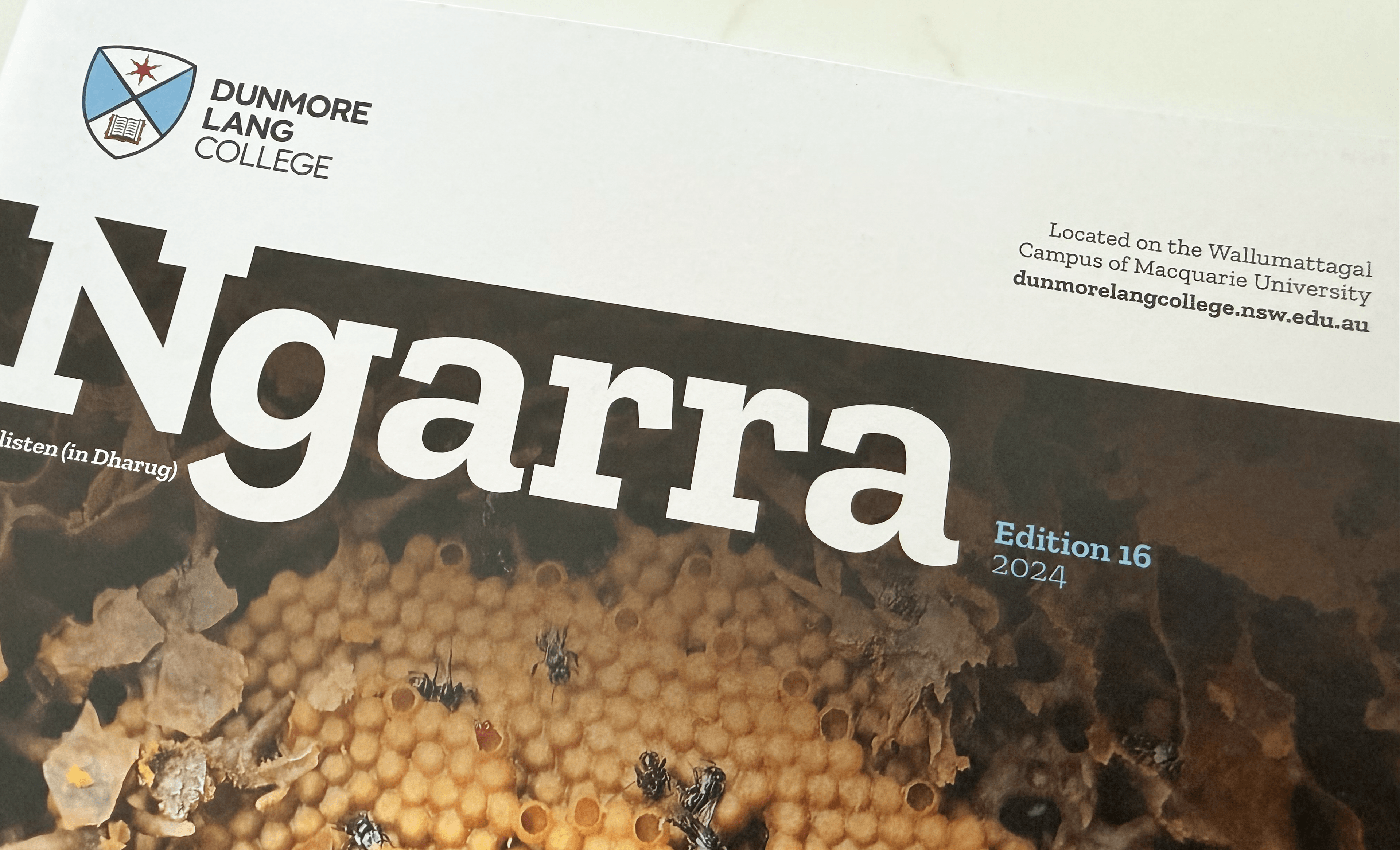 Thumbnail for Dunmore Lang College